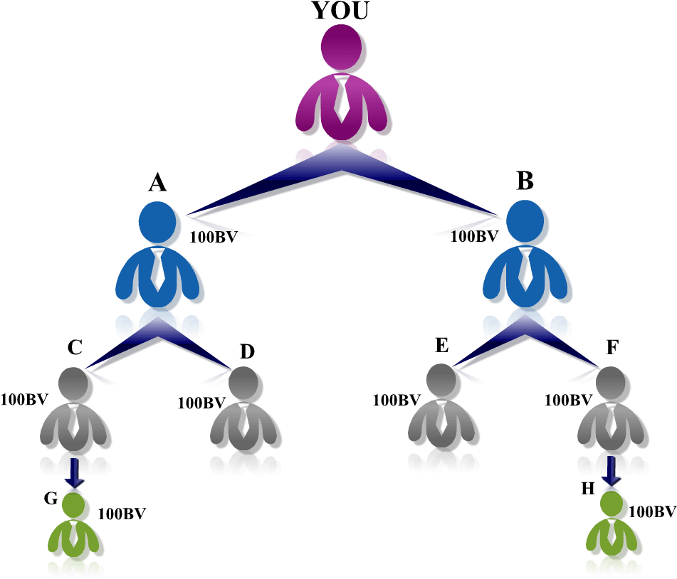 Cryptocurrency MLM Software Development Company