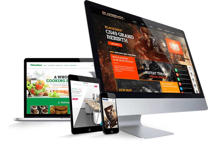 Web Development Service in delhi